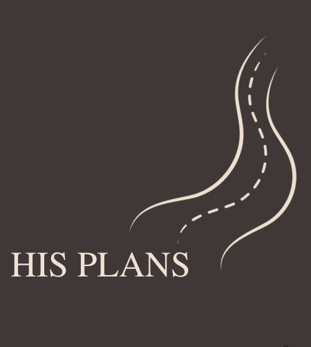 His Plans are the Best Plans Tees