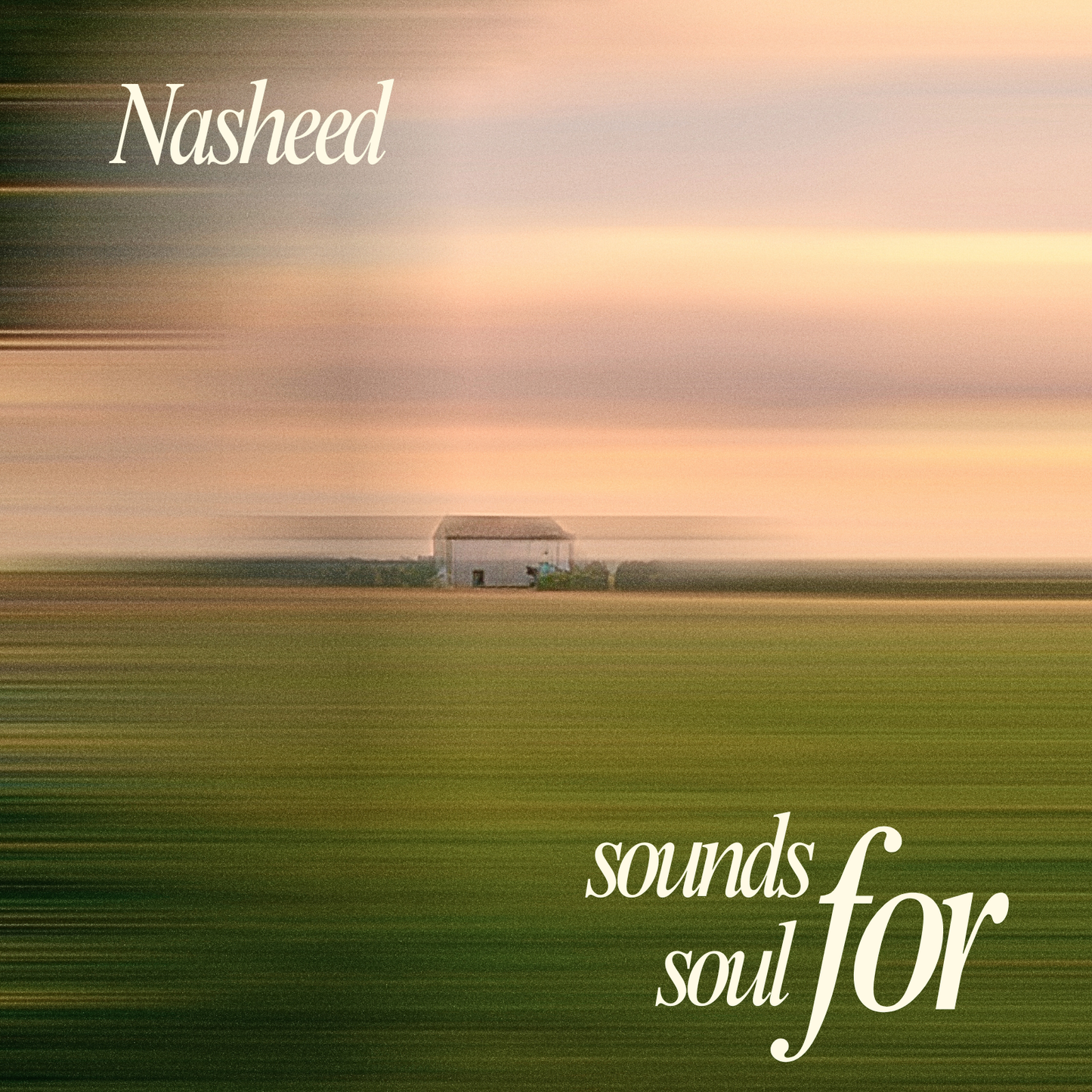 Nasheed